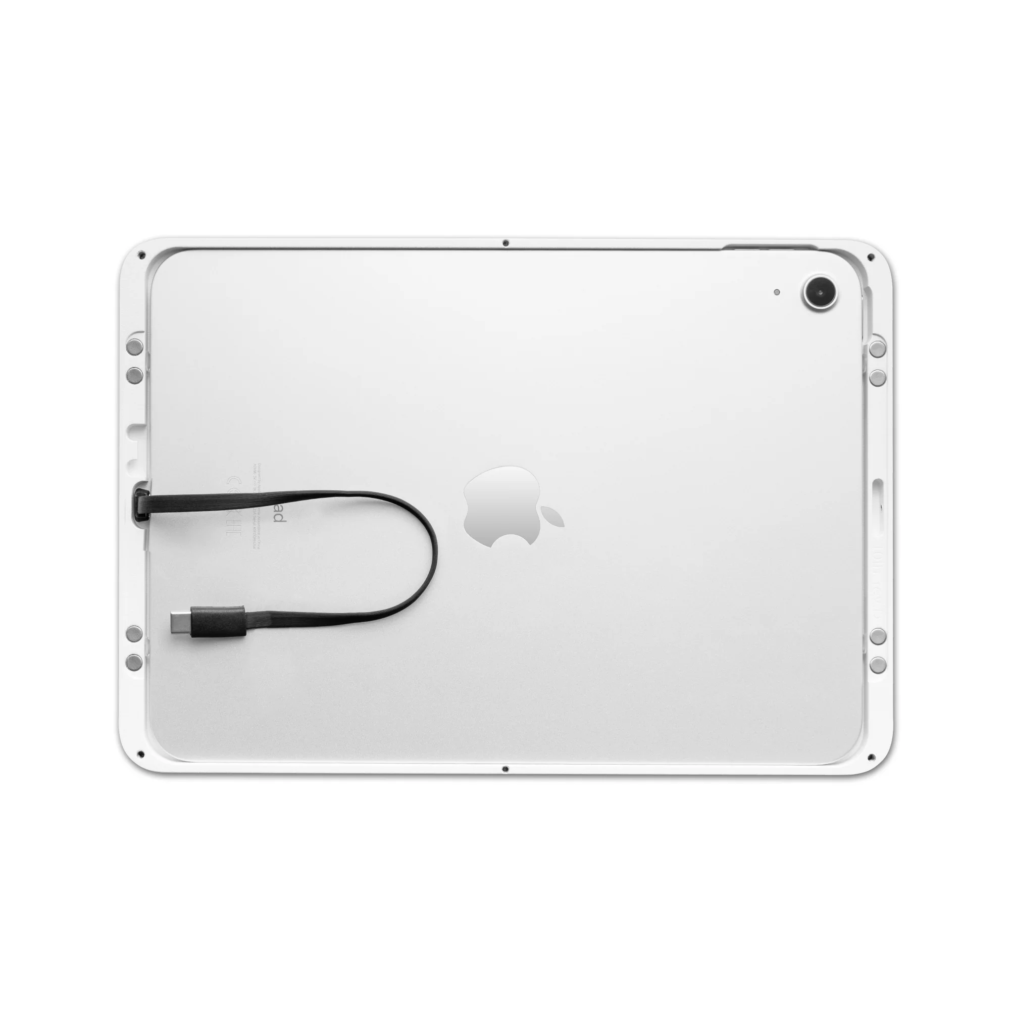 Dame Wall 2.0 für iPad - Image 9
